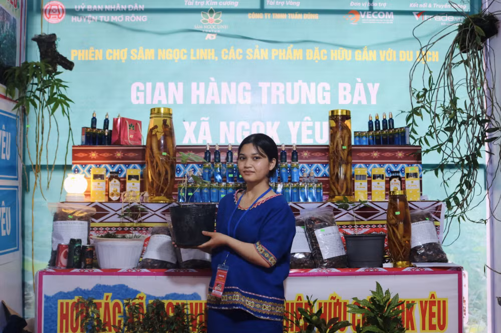 kon tum to chuc phien cho sam ngoc linh gan voi quang ba tiem nang du lich hinh 1