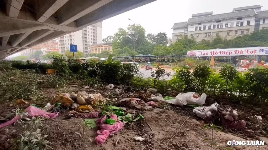 dai phan cach duong vanh dai 3 ha noi bi bien thanh bai do rac hinh 8