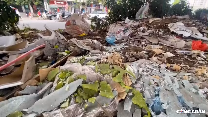 dai phan cach duong vanh dai 3 ha noi bi bien thanh bai do rac hinh 4