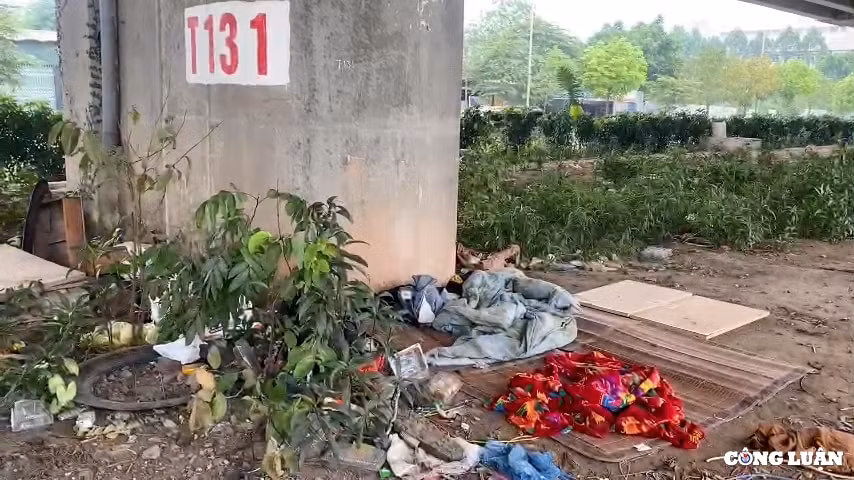 dai phan cach duong vanh dai 3 ha noi bi bien thanh bai do rac hinh 10