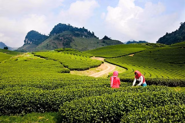 goi y nhung diem den hap dan gan ha noi de tan huong ky nghi le 30 4 1 5 hinh 1