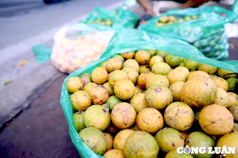 nhung mon qua tuoi tho xuong pho don thu ha noi hinh 3