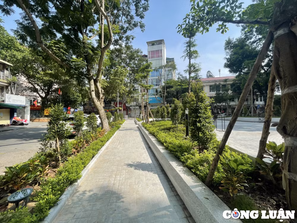 khong gian vuon hoa le truc quan ba dinh ha noi sau khi khanh thanh hinh 5