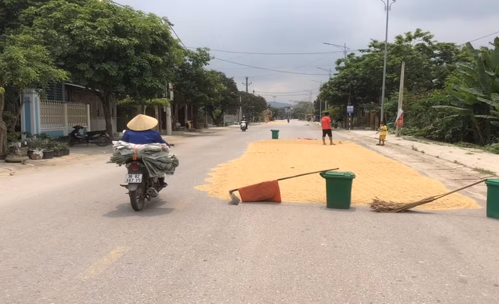 thanh hoa nhuc nhoi canh phoi lua dung vat can chan ngang duong giao thong hinh 1