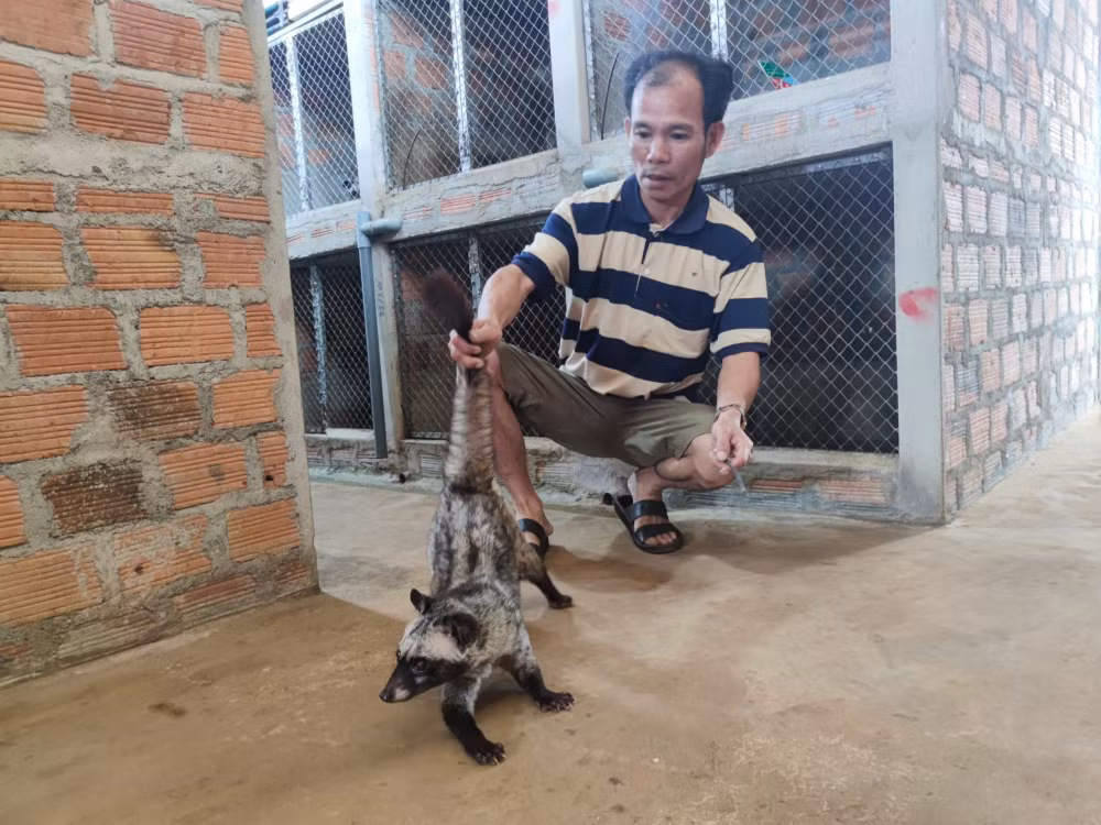 gia lai trang trai chon huong bac ty cua chang trai cu nhan kinh te hinh 5