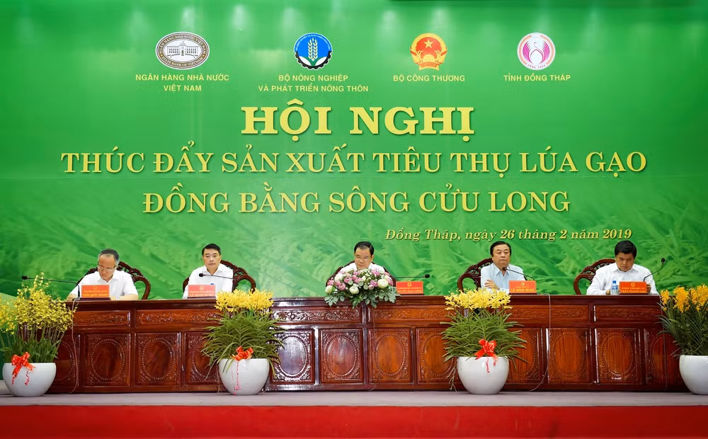 Hội nghị 