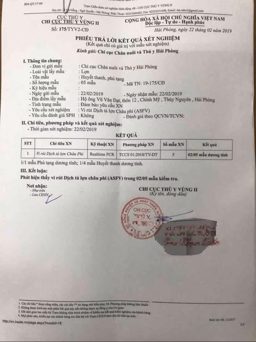 Kết quả xét nghiệm cho thấy virus dịch tả lợn châu Phi đã xâm nhiễm vào Hải Phòng. (Ảnh chụp tài liệu- laodong.vn)