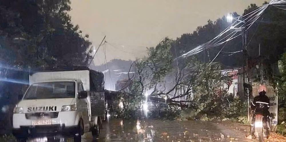 thai.jpg