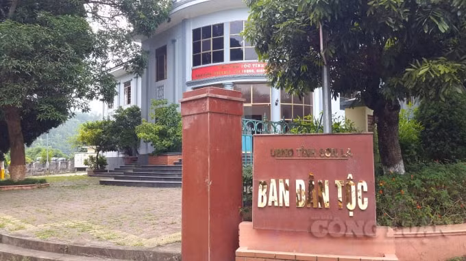 Ảnh bạn đọc cung cấp