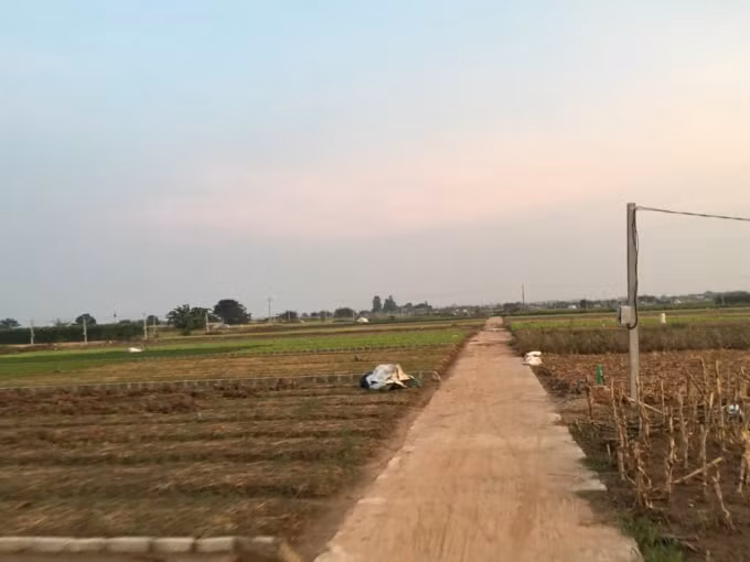 Khu vực Đồng Mốt, thôn Văn Thai được tiến hành chỉnh trang đồng ruộng, làm đường bê tông diễn ra từ năm 2014.