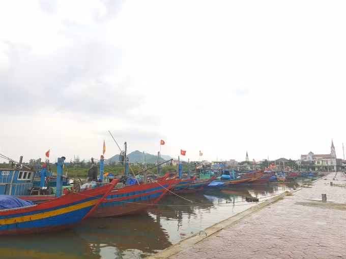 Các tàu, thuyền đã vào nơi neo đậu an toàn