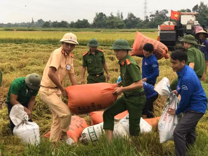Các địa phương khẩn trương thu hoạch nhanh gọn lúa vụ hè thu đã chín.