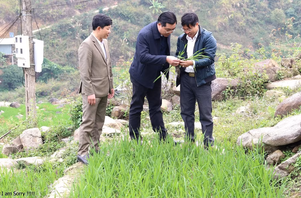 Đồng chí Nông Việt Yên - Bí thư Huyện ủy Mù Cang Chải kiểm tra tình hình thực tế tại địa phương.