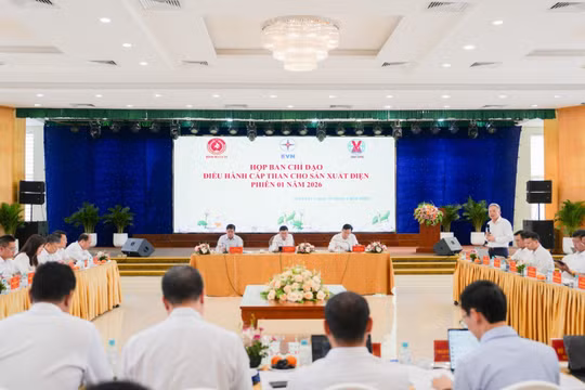 Họp Ban Chỉ đạo điều hành cấp than cho sản xuất điện: TKV đảm bảo cung ứng đủ 
