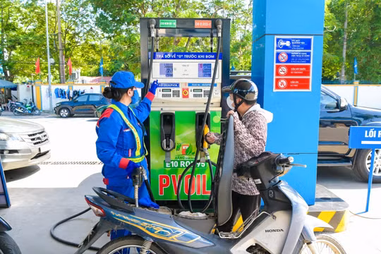 Hơn 60 quốc gia đã dùng nhiên liệu sinh học, Việt Nam tăng tốc với xăng E10