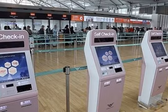 Hãng bay giá rẻ Hàn Quốc cắt 900 chuyến vì giá dầu leo thang