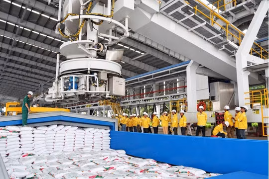 Hành trình khám phá nơi khởi nguồn những “hạt ngọc mùa vàng” chính thức bắt đầu