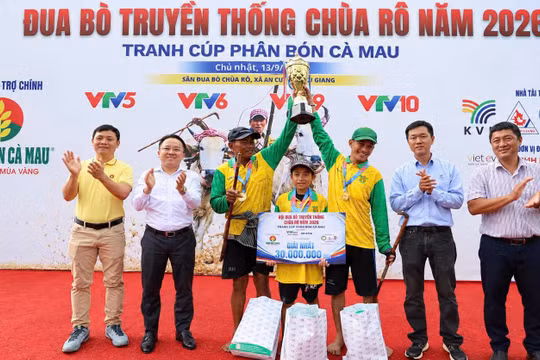 Phân bón Cà Mau đồng hành cùng Hội đua bò chùa Rô 2026