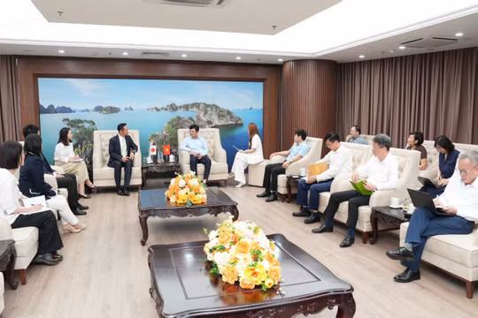 Vinacomin và Tập đoàn Marubeni (Nhật Bản): Thúc đẩy hợp tác toàn diện và bền vững
