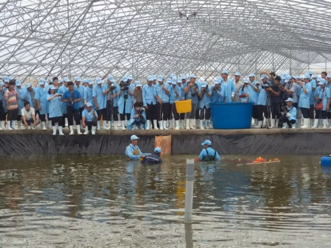 Bạc Liêu đang hướng tới thành trung tâm công nghiệp ngành tôm của cả nước.