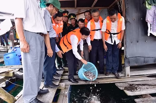 Phó Thủ tướng Trịnh Đình Dũng cùng đoàn công tác thăm một hộ nuôi cá lồng bè trên biển thuộc xã Hòn Nghệ, huyện Kiên Lương. Ảnh: VGP
