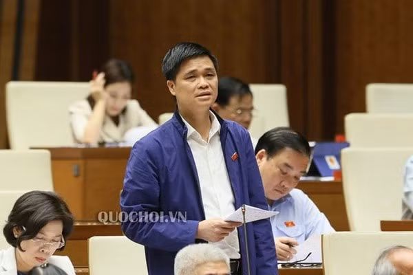 Đại biểu Ngọ Duy Hiểu phát biểu tại hội trường. Ảnh: quochoi.vn