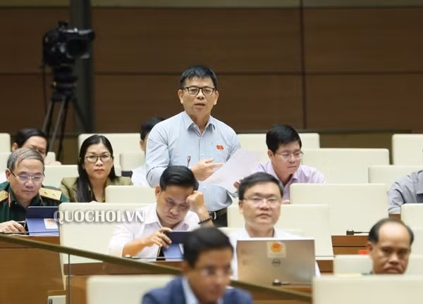 Đại biểu Nguyễn Thanh Hồng (Đoàn đại biểu Quốc hội tỉnh Bình Dương) phát biểu. Ảnh: quochoi.vn