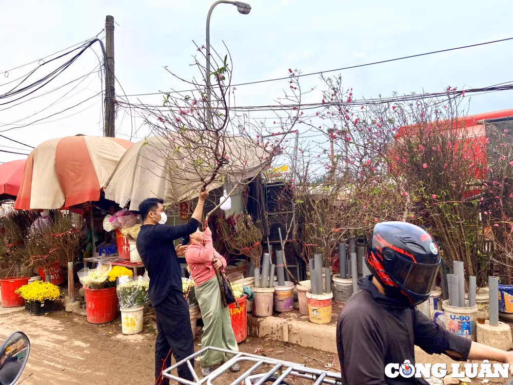 cho hoa quang an nhon nhip nguoi mua ban canh dao choi tet nguyen dan 2024 hinh 15