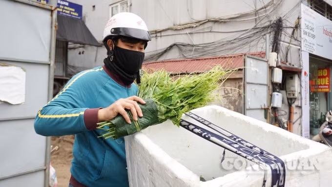 Từ sáng sớm, bạn Tuấn Anh (Quê Bắc Giang) tranh thủ những ngày nghỉ dịch để ship rau cho khách, với mỗi kilogram ngọn susu tới tận tay người tiêu dùng Tuấn Anh bán với giá 20.000 đồng.