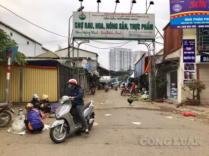 Có tiếng là một trong những chợ đầu mối nông sản lớn trên địa bàn Hà Nội, chợ đầu mối Minh Khai (quận Bắc Từ Liêm, Hà Nội) ngay từ sáng sớm đã có nhiều người dân tới mua các hàng