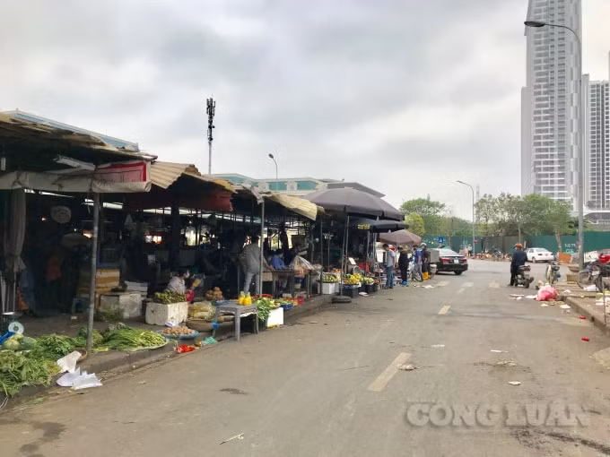 Theo ghi nhận của PV, các mặt hàng buôn bán tại chợ tạm Nam Trung Yên khá phong phú và dồi dào