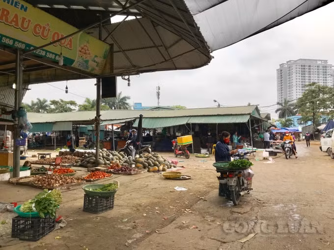 Trong ngày đầu thực hiện cách ly toàn xã hội, chợ đầu mối Minh Khai vẫn cung cấp đa dạng các mặt hàng phục vụ nhu cầu thiết yếu của người dân từ rau của quả đến các loại thịt, cá,...