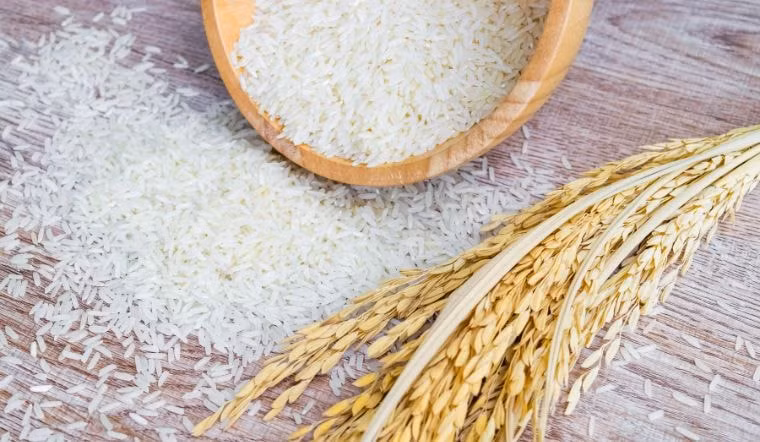 Giá lúa gạo hôm nay 25/7/2023: Không biến động