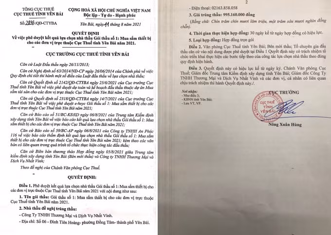 hai nha thau nhat vinh song lam nhieu lan nang gia hang hoa tai cac du an mua sam hinh 1