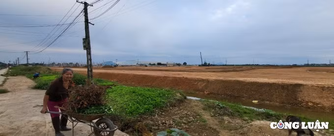 thanh hoa can kien nghi xu ly chu tich huyen buong long quan ly trat tu xay dung hinh 1