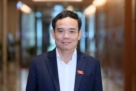 Phó Thủ tướng Chính phủ Trần Lưu Quang thăm chính thức Tây Ban Nha