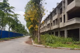 Hà Nội thực hiện 898 cuộc kiểm tra công vụ, kiến nghị xử lý 19 cá nhân