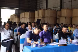 Lần đầu tiên đấu giá cà phê đặc sản tại Việt Nam