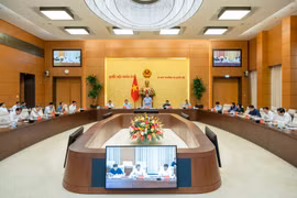 Kịp thời xem xét, ban hành Nghị quyết về sắp xếp đơn vị hành chính cấp huyện, cấp xã