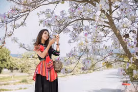 Điện Biên sẵn sàng khai hội Hoa Ban