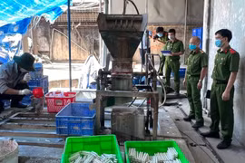 Xử lý nghiêm các khu công nghiệp, chế xuất, nhà máy, làng nghề vi phạm về xử lý chất thải