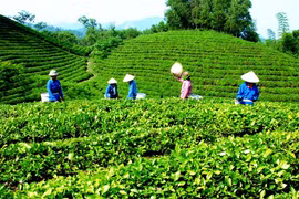 Thái Nguyên phấn đấu đến năm 2030 sẽ đón 5,6 triệu lượt du khách