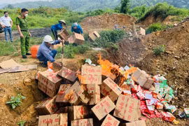 Lào Cai: Tiêu hủy 105 thùng cánh gia cầm ướp gia vị không có xuất xứ