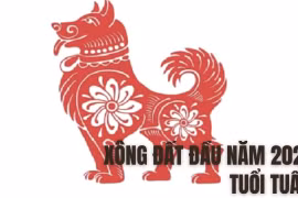 Xem tuổi xông nhà, xông đất năm Quý Mão 2023 cho tuổi Tuất