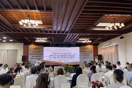 Hội An tham vấn hồ sơ gia nhập mạng lưới các thành phố sáng tạo của UNESCO
