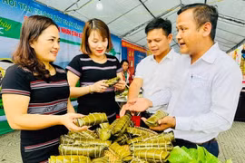 Hiệu quả từ chương trình mục tiêu vùng đồng bào dân tộc thiểu số và miền núi ở Quảng Ngãi