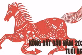 Xem tuổi xông nhà, xông đất năm Quý Mão 2023 cho tuổi Ngọ