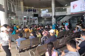 Đà Nẵng: Dịch đau mắt đỏ bùng phát, Sở Y tế ra công văn khẩn