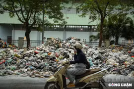 Tăng cường phòng ngừa, giám sát, kiểm soát các cơ sở có nguy cơ gây ô nhiễm môi trường