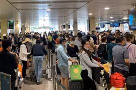 Hơn 29.000 chuyến bay đã được các hãng hàng không Việt Nam khai thác